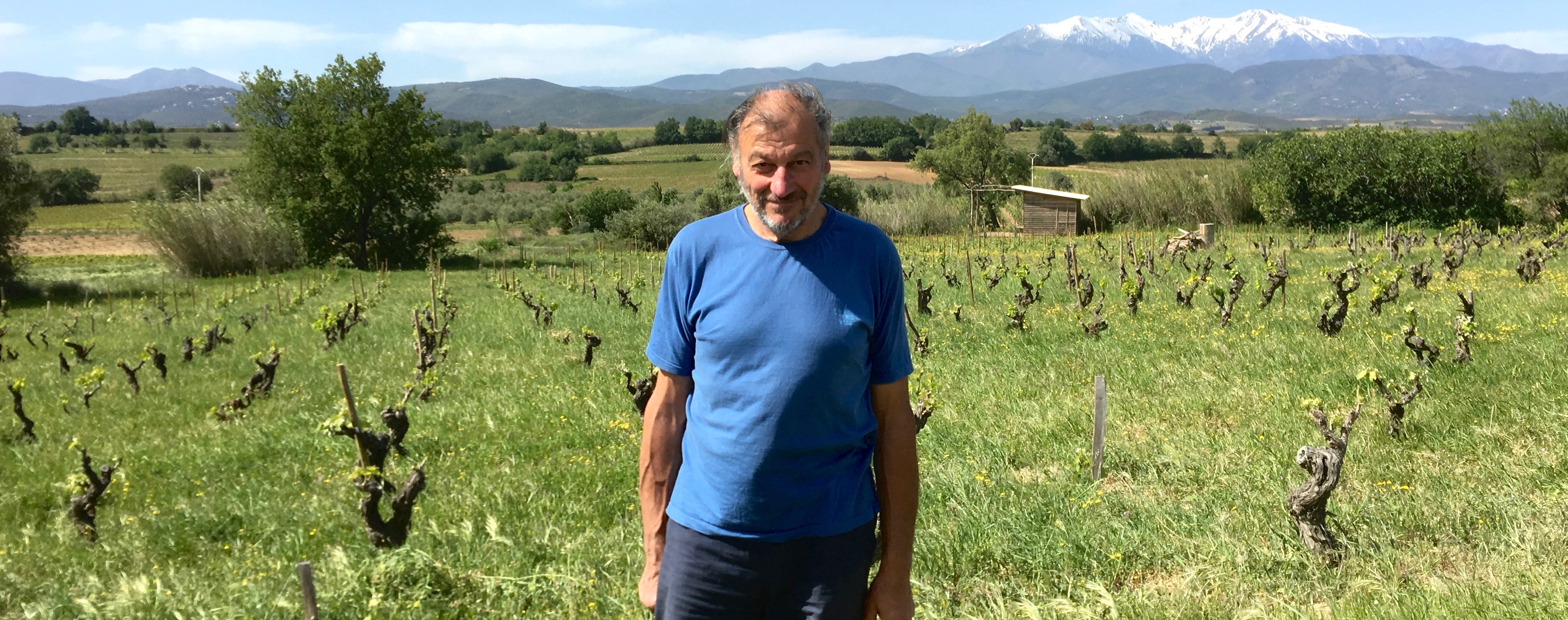 “レ・ヴァン・デュ・カバノン