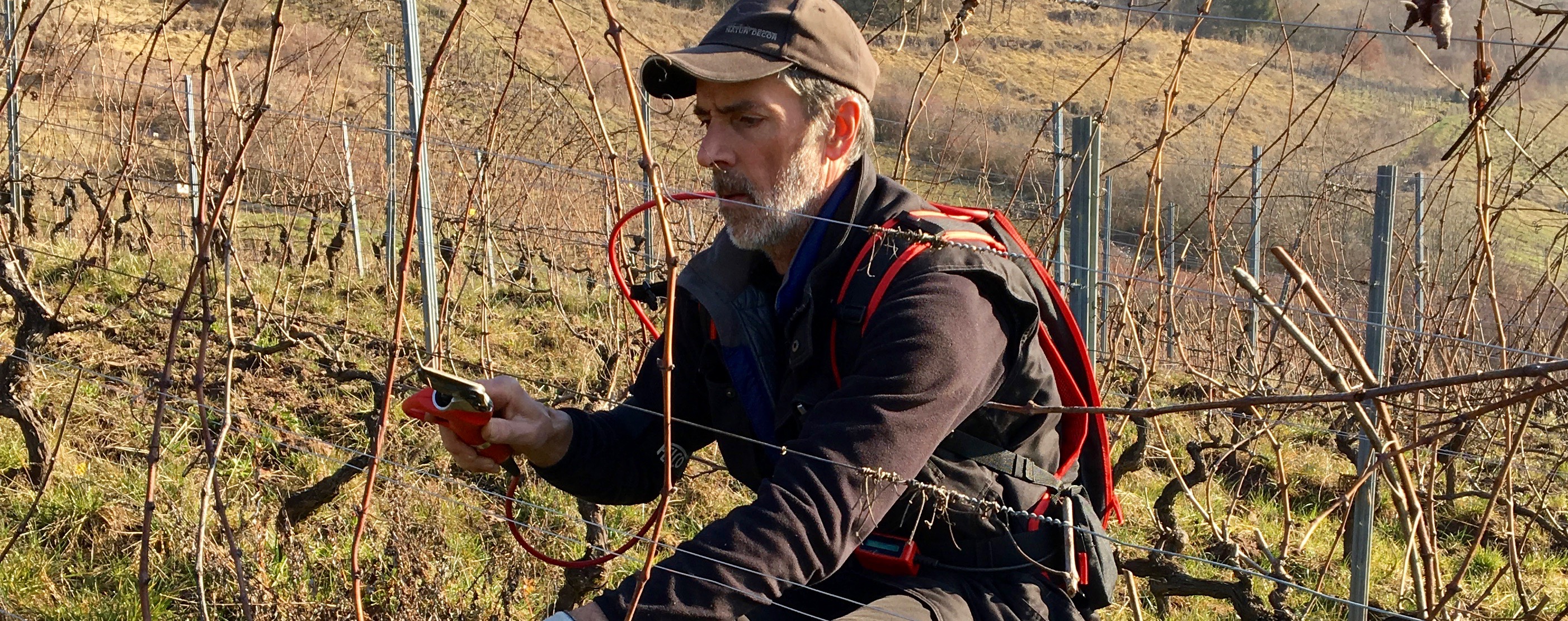 “ドメーヌ・ベリュアー